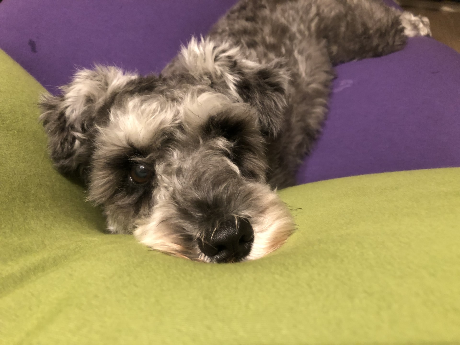 【Yogibo】ビーズクションの処分方法6選 おすすめの処分方法と注意点を解説 不用品回収いちばんのブログ